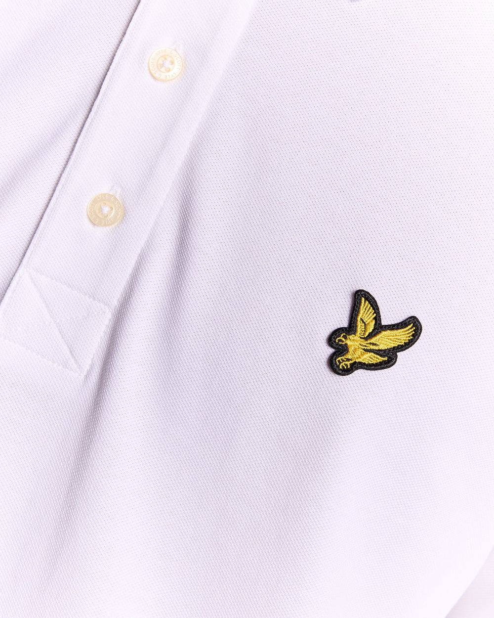 POLO LYLE & SCOTT